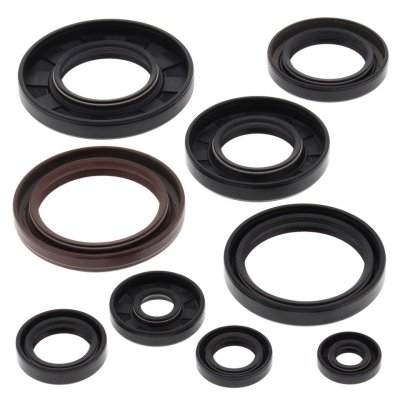 WINDEROSA (VERTEX) KOMPLET (ZESTAW) USZCZELNIACZY SILNIKOWYCH YAMAHA YFM 660 GRIZZLY 02-08