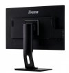 Monitor 24 cale XUB2495WSU-B3 IPS,PIVOT,16:10,DP,HDMI,VGA,4xUSB,2x2W