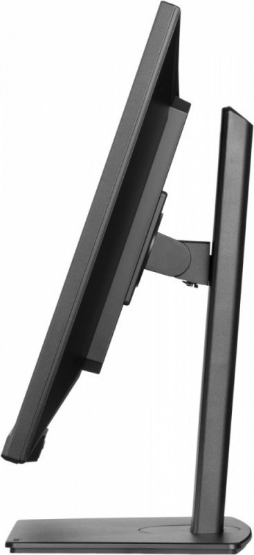 Monitor 32 cali XUB3297QSNP-B1 + Norton Small Business card 250G PL