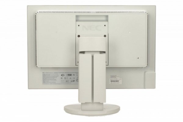Monitor 22 cale EA223WM biały W-LED TFT, DVI