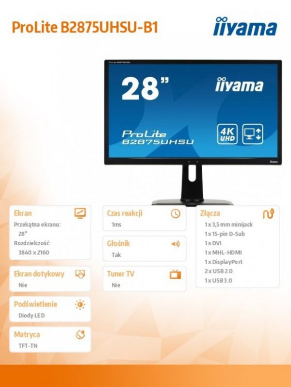 Monitor 28 B2875UHSU-B1 4K,TN,HDMI,DP,USB,PIP,PBP, WYJ. SŁUCH.