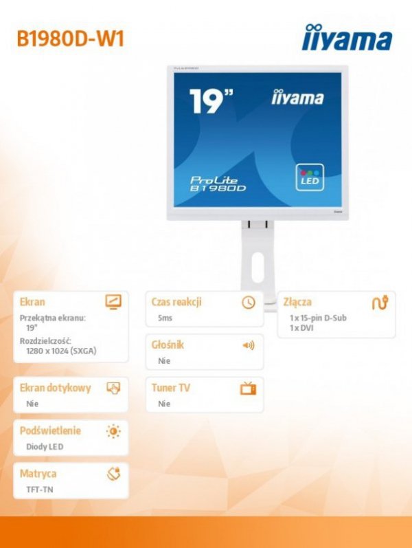 Monitor 19 cali B1980D-W1 DVI/VGA/5:4/PIVOT/HAS/ACR/VESA