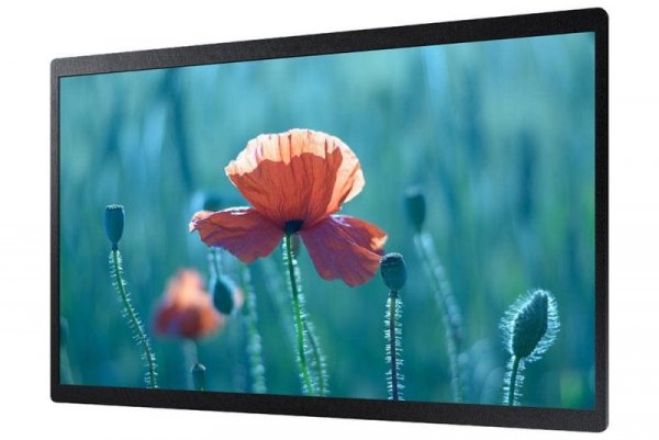 Monitor profesjonalny  QB24R-B 24 cale Matowy 16h/7 250(cd/m2) 1920 x 1080(FHD) S6 Player WiFi 3 lata d2d (LH24QBRBBGCXEN)