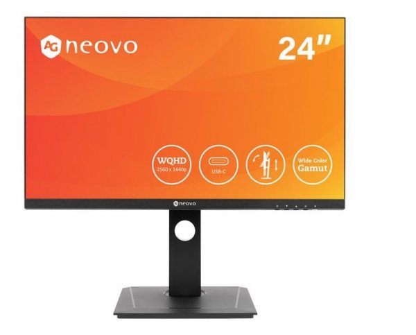Monitor DW2401 23.8 cala USB-C WQHD  czarny
