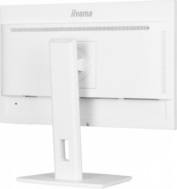 Monitor 24 cale XUB2497HSN-W2 IPS, USB-C Dock, HDMI, DP, 300cd, Pivot, HAS, biały /5y/