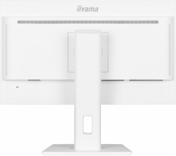 Monitor 24 cale XUB2497HSN-W2 IPS, USB-C Dock, HDMI, DP, 300cd, Pivot, HAS, biały /5y/