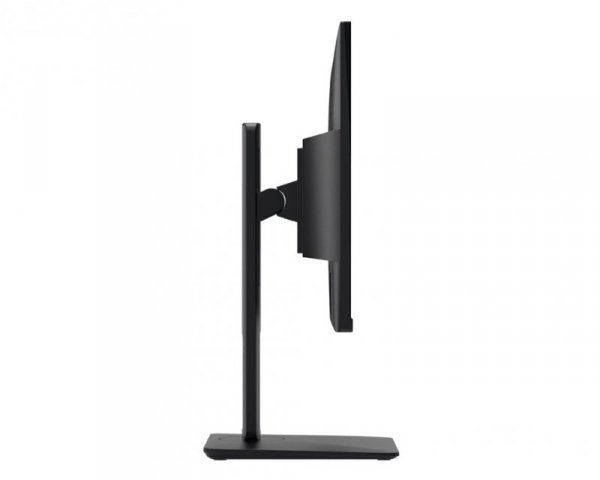 Monitor PRO MP251P   24.5 cala/LED/FHD/Flat/100Hz/Czarny