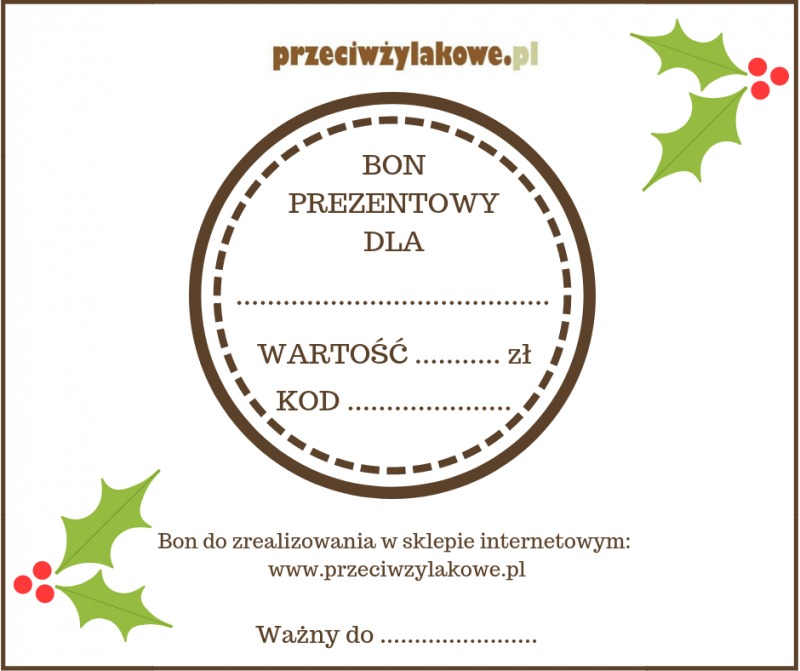 BON PREZENTOWY 100zł