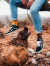 Hiking - Socks Good Mood