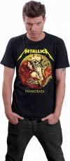 Metallica Inamorata - Heroes