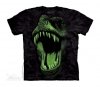 Big Face Glow Rex - The Mountain - Junior