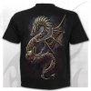 Pocket Dragon - Spiral Direct