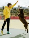 Happy Dog - Low Socks Good Mood
