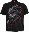Dragon Shards - Spiral Direct