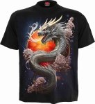 Sun Dragon - Spiral Direct