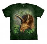 Wild Triceratops- The Mountain - Junior