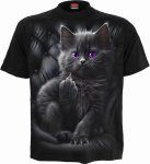 Cattitude - Spiral Direct