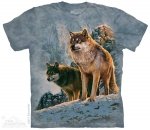 Wolf Couple Sunset - The Mountain