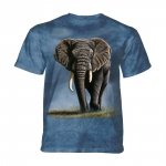Approaching Storm Elephant -  Junior