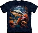 Reef Ruler Shark - The Mountain