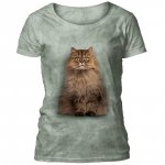 Longhair Persian - The Mountain Ladies