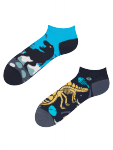Dinosaurs - Low Socks Good Mood