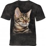 Striped Cat Portrait - The Mountain