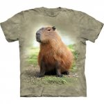 Capybara  - Kids The Mountain