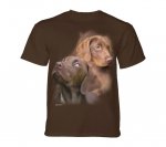 Chocolate Labs - The Mountain - Junior