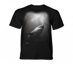 Sunburst Shark - The Mountain Junior