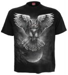 Wings of Wisdom - Spiral