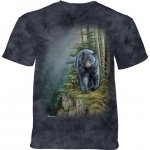 Rocky Outcrop Black Bear - The Mountain