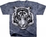 Tiger Glare - Liquid Blue 