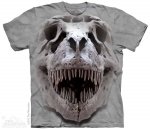 T-Rex Big Skull - The Mountain
