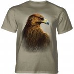 Golden Eagle - The Mountain