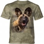 African Wild Dog Portrait - The Mountain