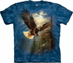Eagle Landing - The Mountain