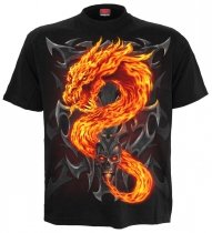 Fire Dragon - Spiral