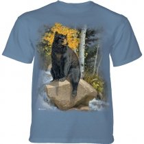 Paws That Refreshes Black Bears - The Mountain