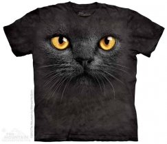 Big Face Black Cat - The Mountain