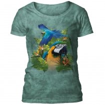 Blue And Gold Macaws - The Mountain Women