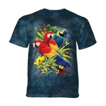Majestic Macaws- The Mountain Junior