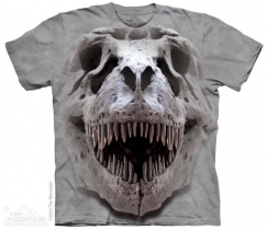 T-Rex Big Skull - The Mountain