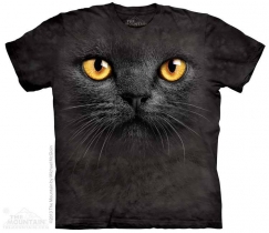 Big Face Black Cat - The Mountain
