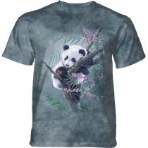 Bamboo Dreams Panda - The Mountain