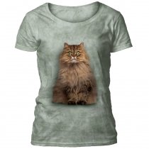 Longhair Persian - The Mountain Dámske