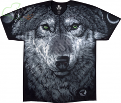 Arctic Wolf - Liquid Blue