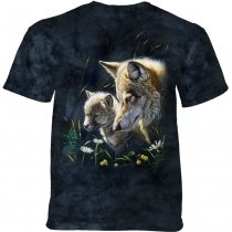 New Season Wolf - The Mountain