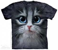 Cutie Pie Kitten Face - The Mountain