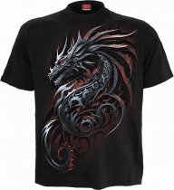 Dragon Shards - Spiral Direct
